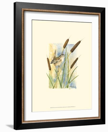 Marsh Wren and Cattails-Janet Mandel-Framed Art Print