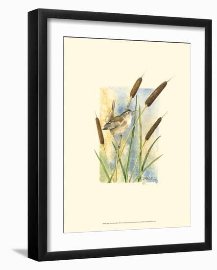 Marsh Wren and Cattails-Janet Mandel-Framed Art Print