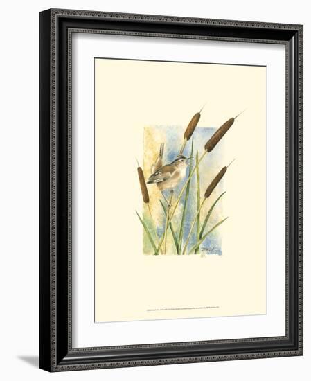 Marsh Wren and Cattails-Janet Mandel-Framed Art Print