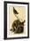 Marsh Wren-John James Audubon-Framed Art Print