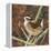 Marsh Wren-Kestrel Michaud-Framed Premier Image Canvas