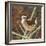Marsh Wren-Kestrel Michaud-Framed Giclee Print