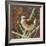 Marsh Wren-Kestrel Michaud-Framed Giclee Print