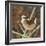 Marsh Wren-Kestrel Michaud-Framed Giclee Print