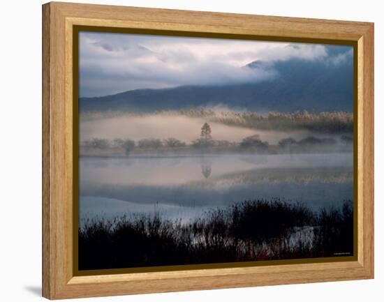 Marsh-null-Framed Premier Image Canvas