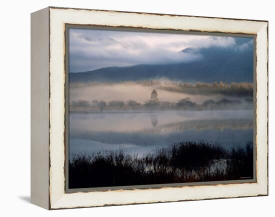 Marsh-null-Framed Premier Image Canvas