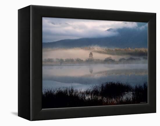 Marsh-null-Framed Premier Image Canvas