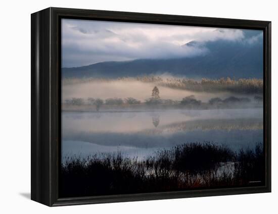 Marsh-null-Framed Premier Image Canvas