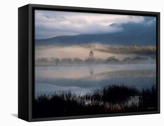 Marsh-null-Framed Premier Image Canvas