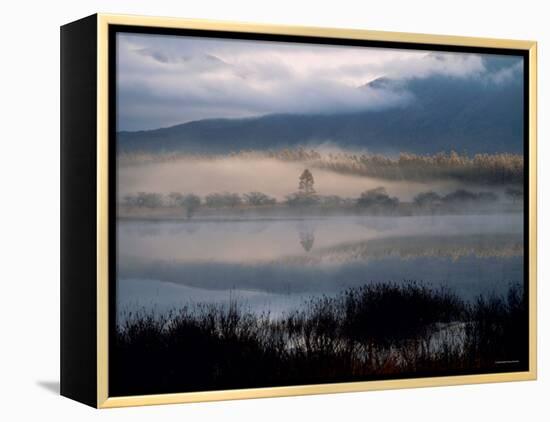 Marsh-null-Framed Premier Image Canvas