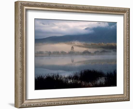 Marsh-null-Framed Photographic Print