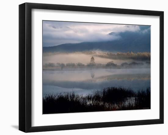 Marsh-null-Framed Photographic Print