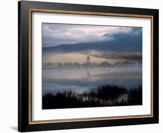 Marsh-null-Framed Photographic Print