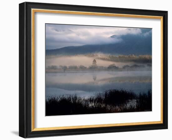 Marsh-null-Framed Photographic Print