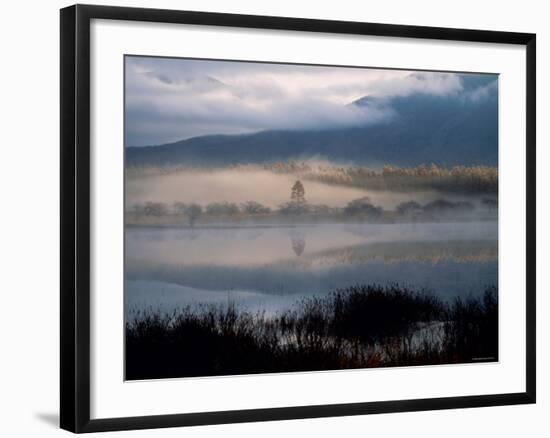 Marsh-null-Framed Photographic Print