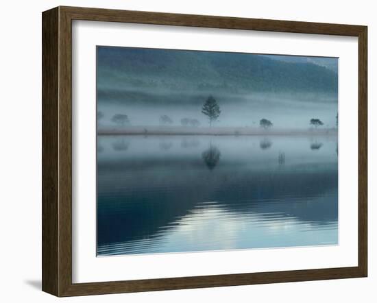 Marsh-null-Framed Photographic Print