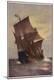 Photographic Print