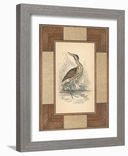 Marshland Bittern-Alastair Reynolds-Framed Art Print