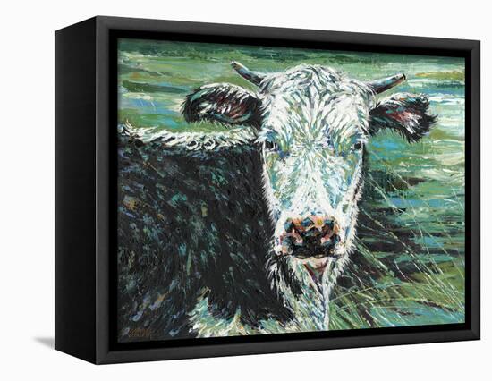 Marshland Cow I-Carolee Vitaletti-Framed Stretched Canvas