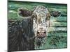 Marshland Cow II-Carolee Vitaletti-Mounted Art Print
