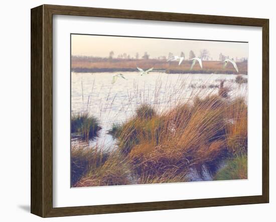 Marshland Hues I-Steve Hunziker-Framed Art Print