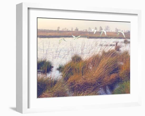 Marshland Hues I-Steve Hunziker-Framed Art Print