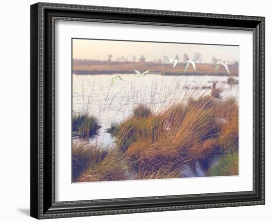 Marshland Hues I-Steve Hunziker-Framed Art Print