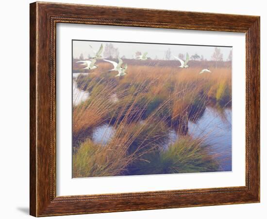 Marshland Hues II-Steve Hunziker-Framed Art Print