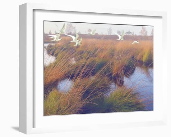 Marshland Hues II-Steve Hunziker-Framed Art Print