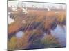 Marshland Hues II-Steve Hunziker-Mounted Art Print