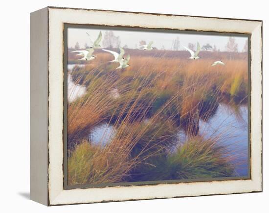 Marshland Hues II-Steve Hunziker-Framed Stretched Canvas