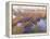 Marshland Hues II-Steve Hunziker-Framed Stretched Canvas