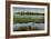 Marshland-Tim O'toole-Framed Giclee Print