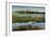 Marshland-Tim O'toole-Framed Giclee Print