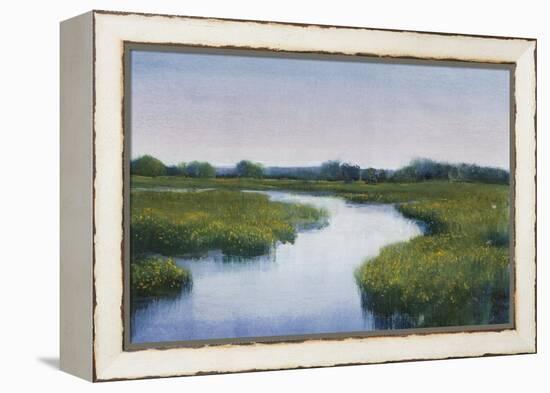 Marshlands I-Tim OToole-Framed Stretched Canvas