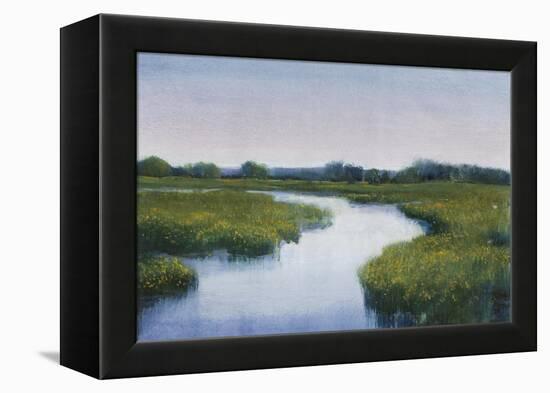 Marshlands I-Tim OToole-Framed Stretched Canvas