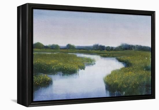 Marshlands I-Tim OToole-Framed Stretched Canvas