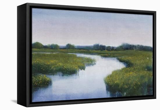 Marshlands I-Tim OToole-Framed Stretched Canvas