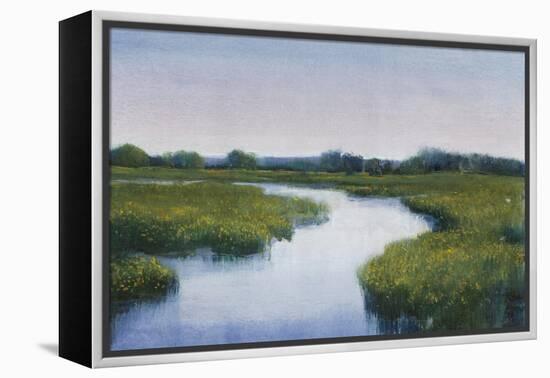 Marshlands I-Tim OToole-Framed Stretched Canvas