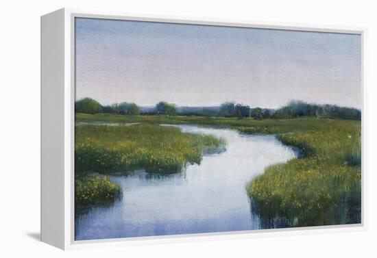Marshlands I-Tim OToole-Framed Stretched Canvas