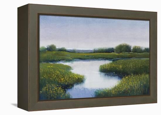 Marshlands II-Tim OToole-Framed Stretched Canvas