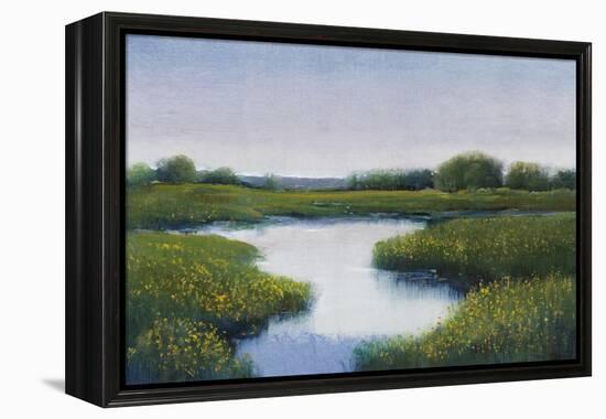 Marshlands II-Tim OToole-Framed Stretched Canvas