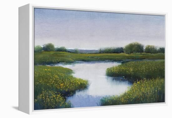 Marshlands II-Tim OToole-Framed Stretched Canvas