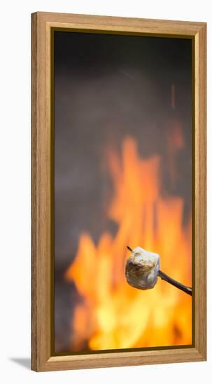 Marshmallow & Campfire-Justin Bailie-Framed Premier Image Canvas