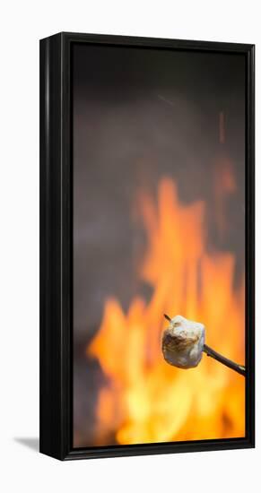 Marshmallow & Campfire-Justin Bailie-Framed Premier Image Canvas