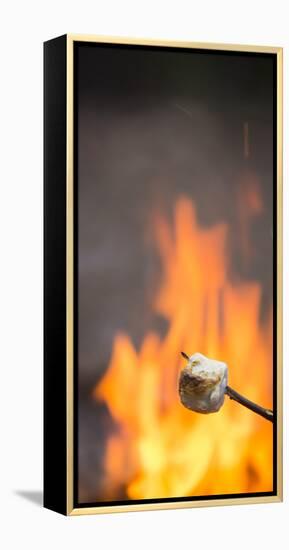 Marshmallow & Campfire-Justin Bailie-Framed Premier Image Canvas