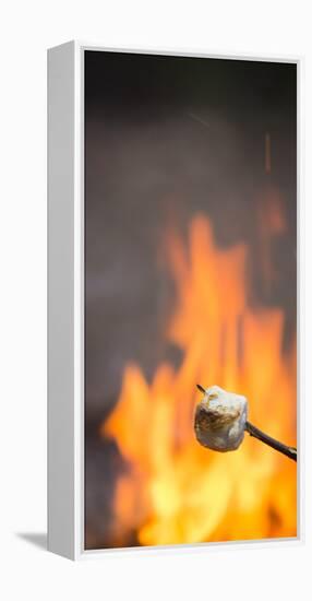 Marshmallow & Campfire-Justin Bailie-Framed Premier Image Canvas