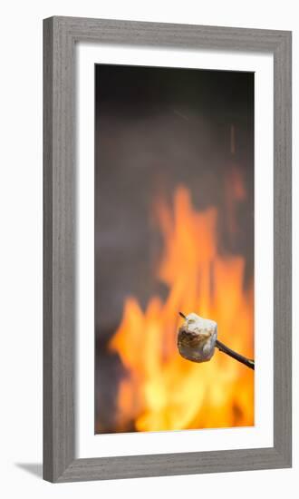 Marshmallow & Campfire-Justin Bailie-Framed Photographic Print