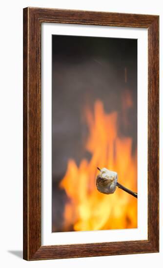 Marshmallow & Campfire-Justin Bailie-Framed Photographic Print