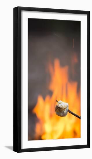 Marshmallow & Campfire-Justin Bailie-Framed Photographic Print